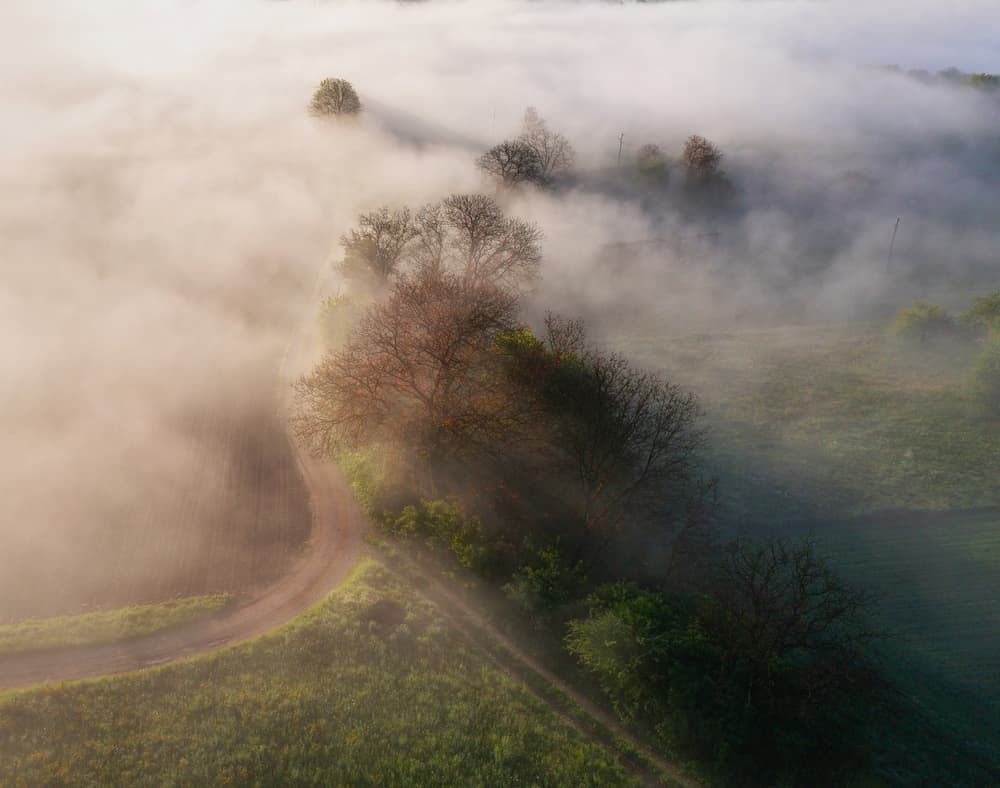 Misty Morning Road by Ales Krivec — canvas wall art