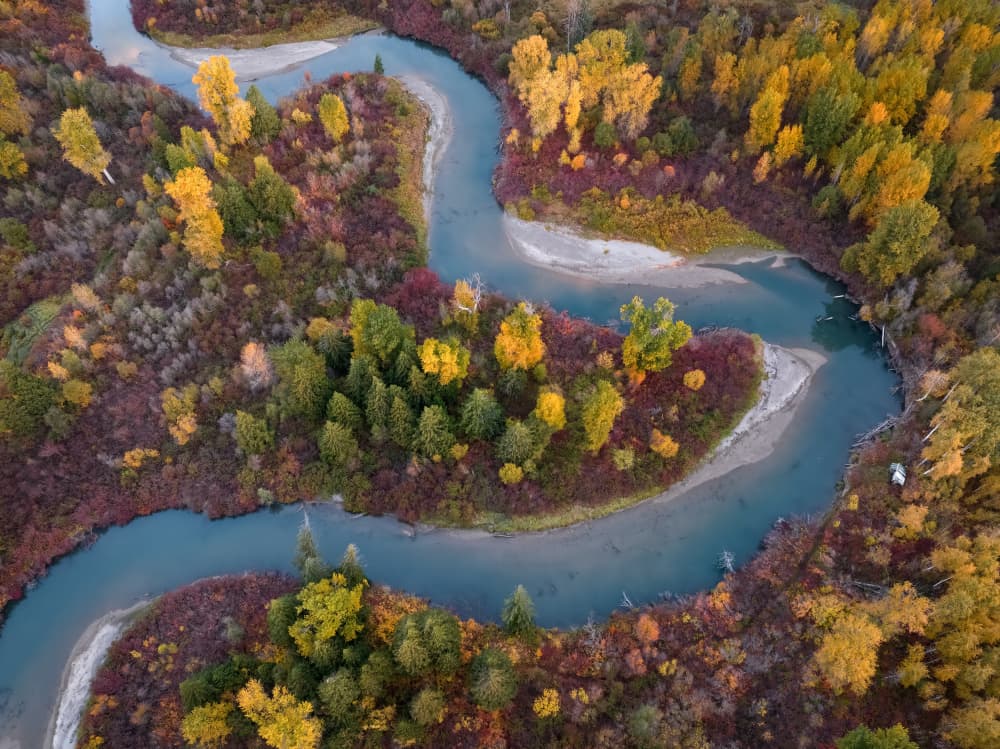 Winding Autumn River by Shenshen Dou — canvas wall art