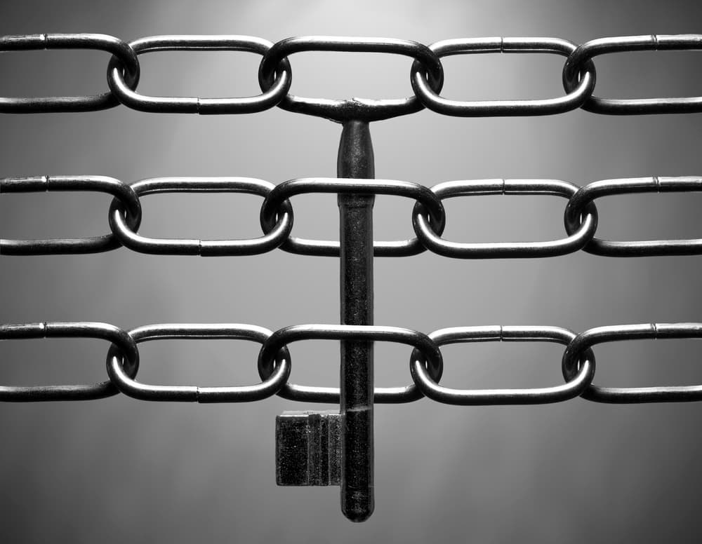Key to Solution by Wieteke de Kogel — canvas wall art