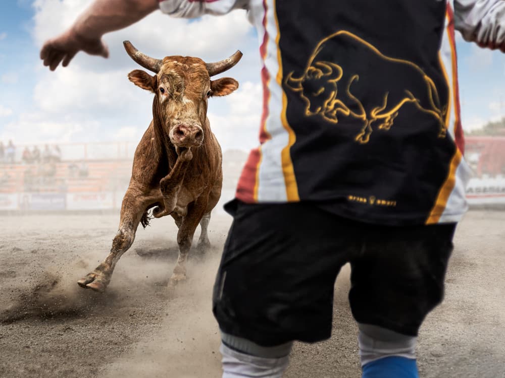 Charging Bull Action by Steven Zhou — canvas wall art