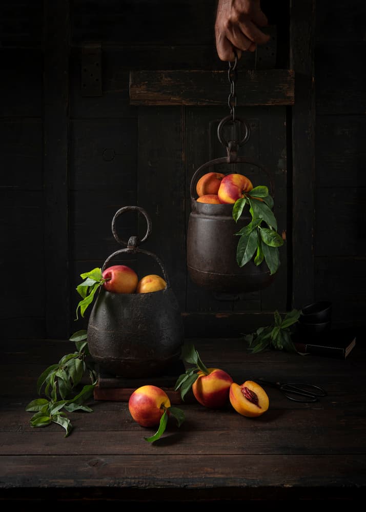 Moody Nectarine Still Life by Diana Popescu — canvas wall art