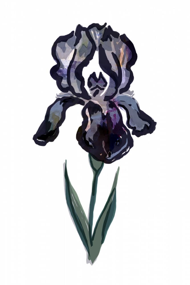 Dark Purple Iris by casa cartissi — canvas wall art