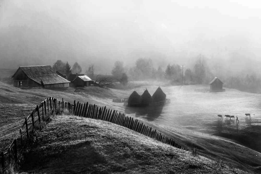 Misty Morning Farm Valley by Sveduneac Dorin Lucian — canvas wall art