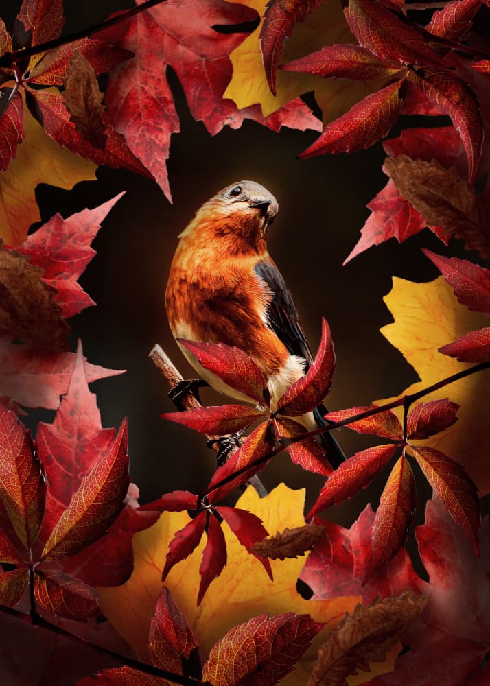 Colorful Autumn Bird by Ariz Rab — canvas wall art