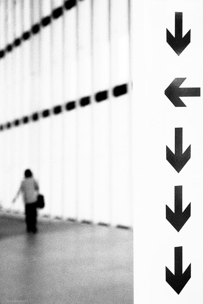 Modern Path Forward by Paulo Abrantes — canvas wall art