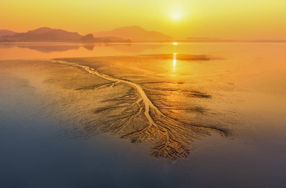 Golden Estuary Reflections by Yuan Su — canvas wall art