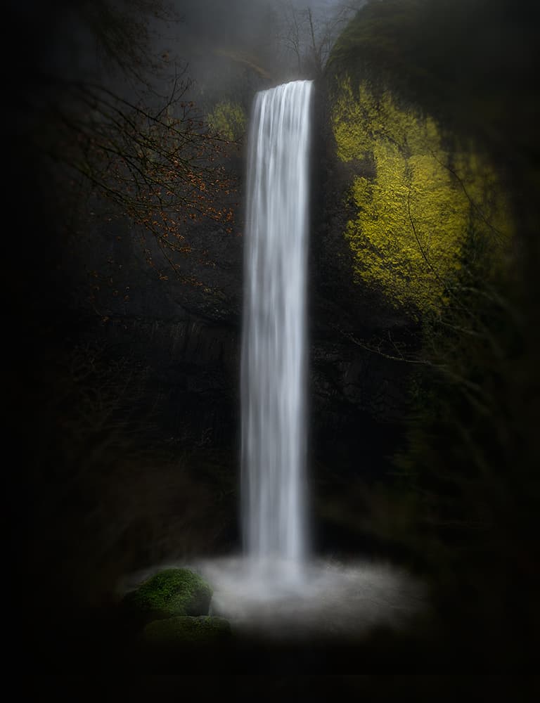 Misty Forest Waterfall by Shenshen Dou — canvas wall art