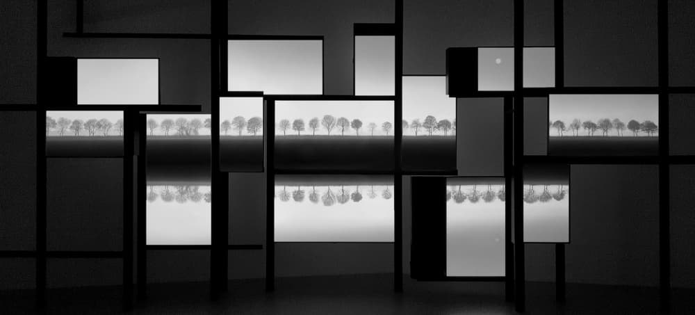 Monochrome Forest Display by Huib Limberg — canvas wall art