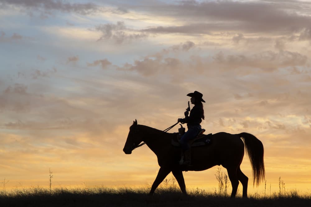 Western Rider Sunset Silhouette by Linda D Lester — canvas wall art