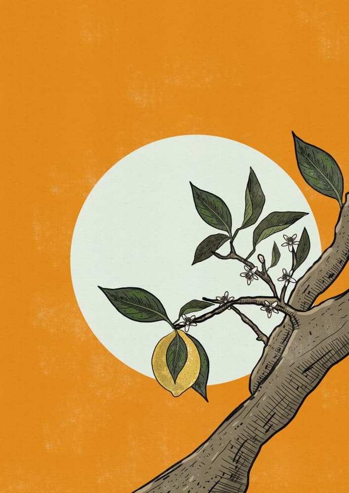 Golden Lemon Tree Sun by Nicholas — canvas wall art
