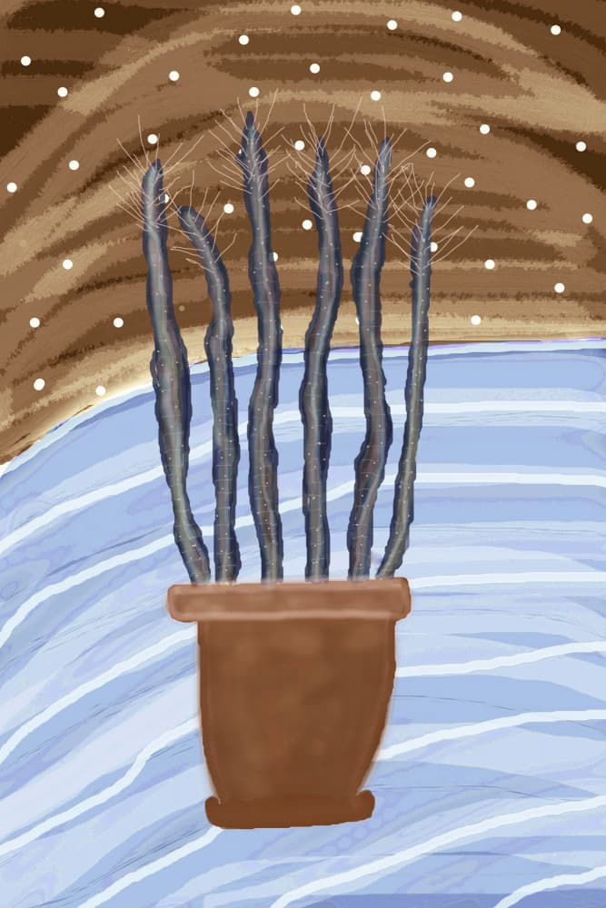 Whimsical Potted Cactus by Christina Sillen — canvas wall art