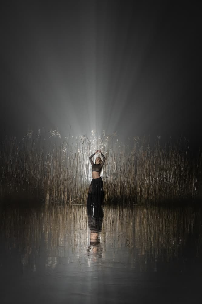 Graceful Silhouette Golden Light by Leszek Paradowski — canvas wall art