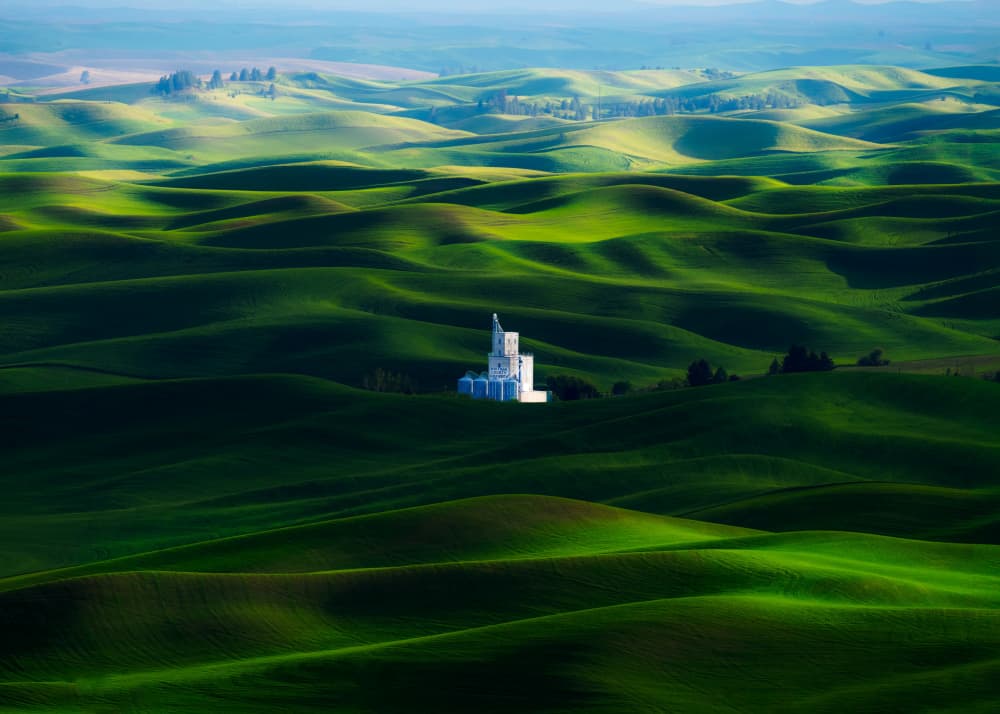 Green Ocean by Ken Liang — canvas wall art