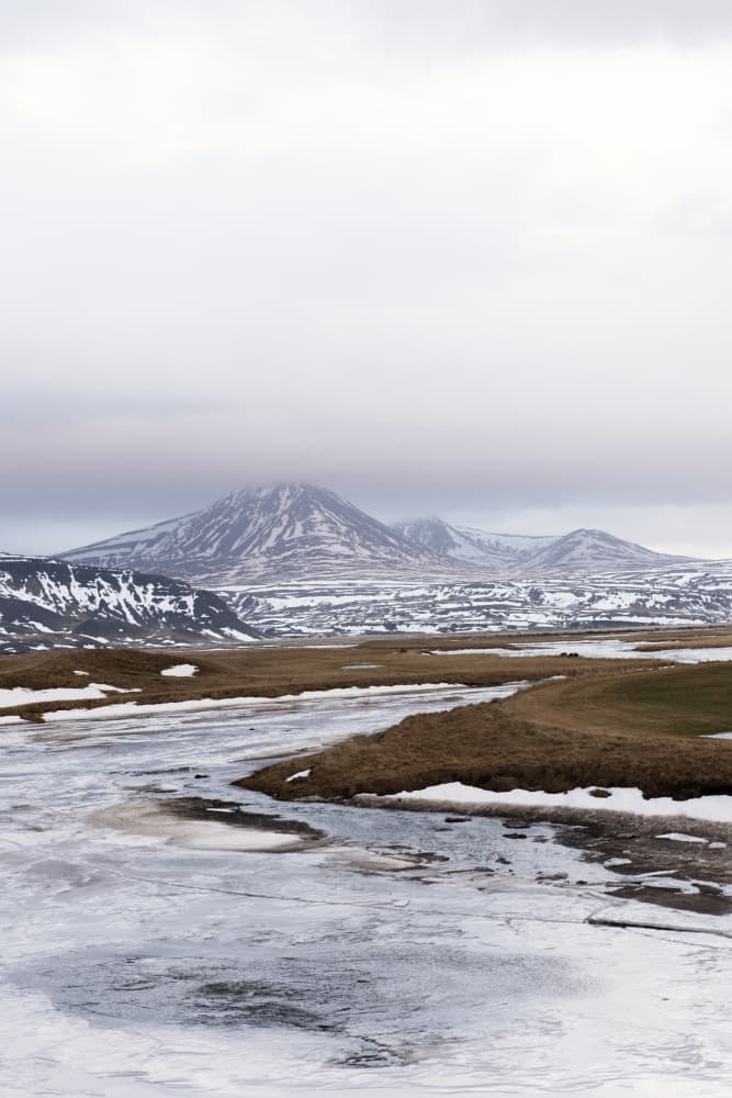 Frozen Winter Landscape by Lynann Colligan — canvas wall art
