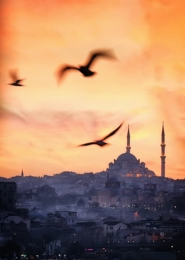 Birds Over Istanbul Mosque by Bartolome Lopez — canvas wall art