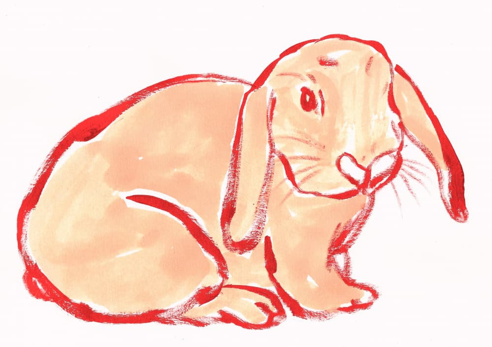 Bunny Cute 4 by Santhosh ch — canvas wall art