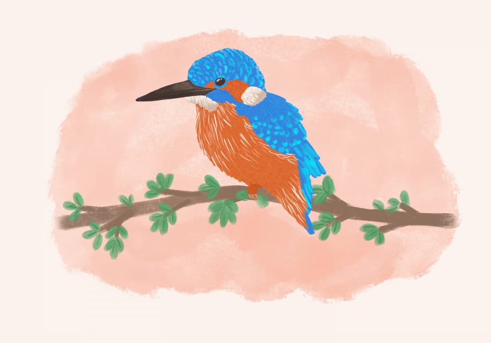 A Kingfisher By Aliya Putrus by Aliya Putrus — canvas wall art