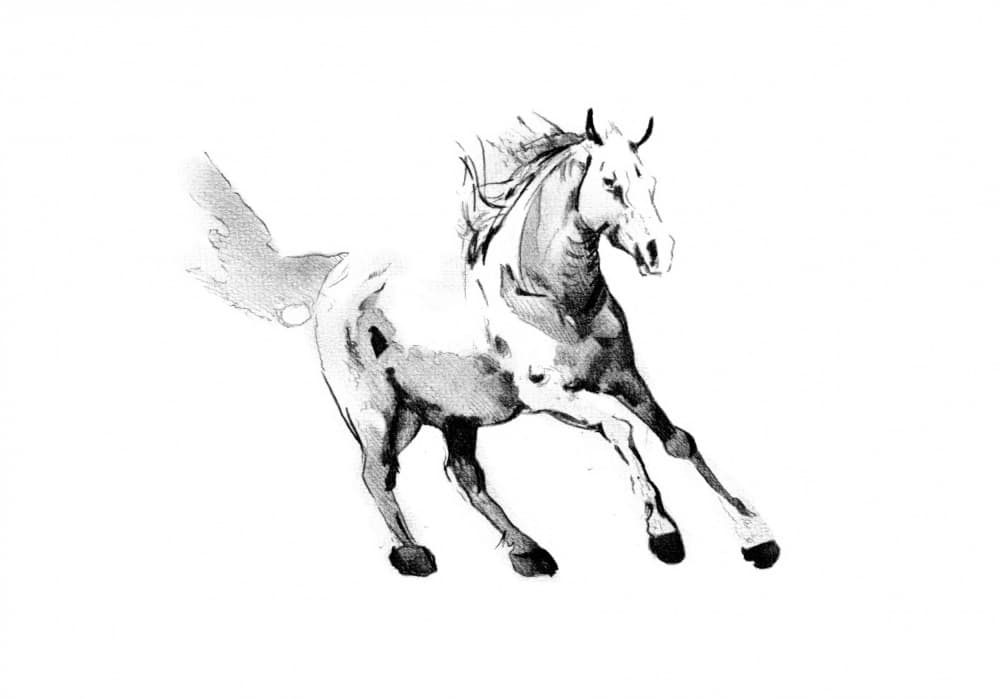Galloping Wild Horse by Kulik — canvas wall art
