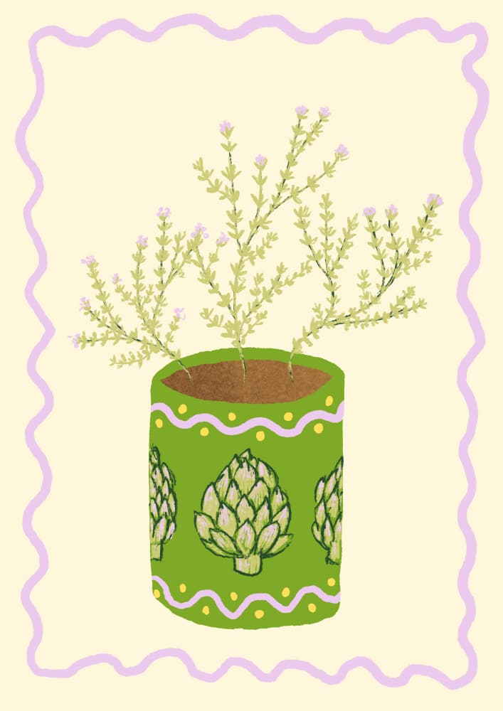 Artichoke Potted Plant