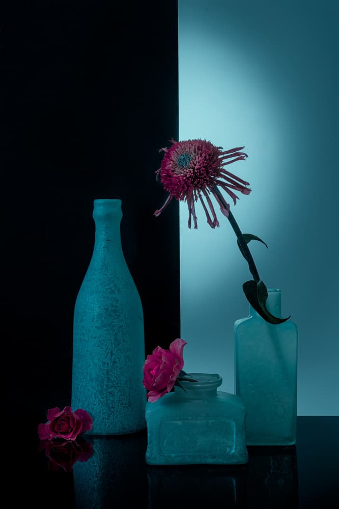 Teal Bottles with Blooms by Lydia Jacobs — canvas wall art