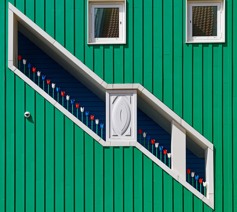 Vibrant Green Tulips Facade by Martin Fleckenstein — canvas wall art
