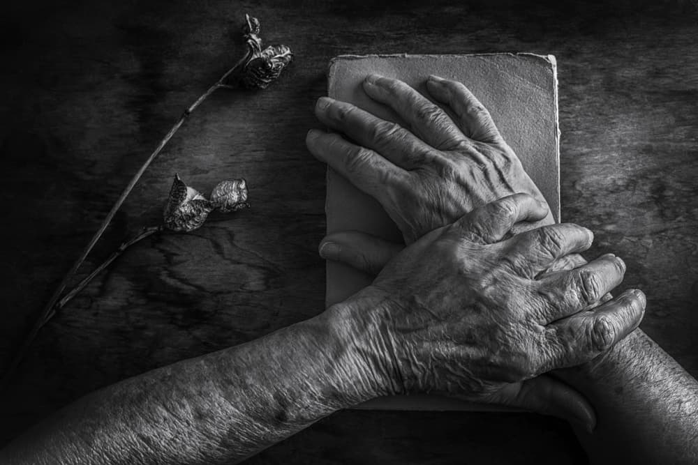 Old hands of my mother by Stephen Clough — canvas wall art