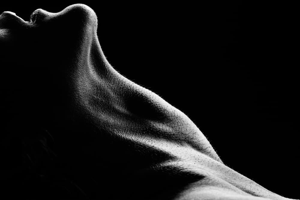 Elegant Neck Profile by Jackson Carvalho — canvas wall art