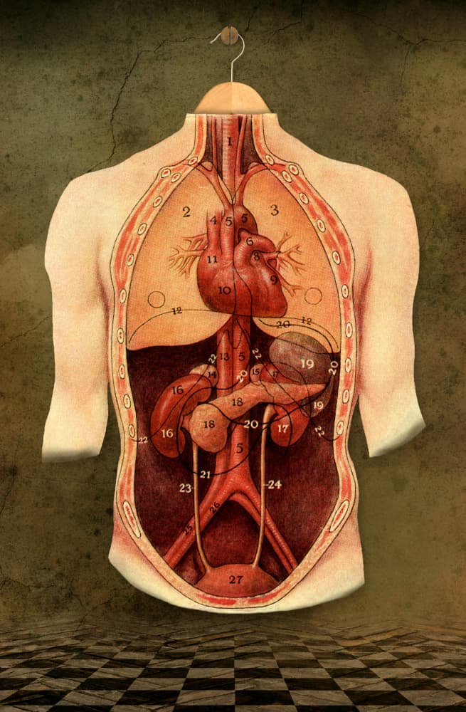 Body On A Hanger by Marja van den Hurk — canvas wall art