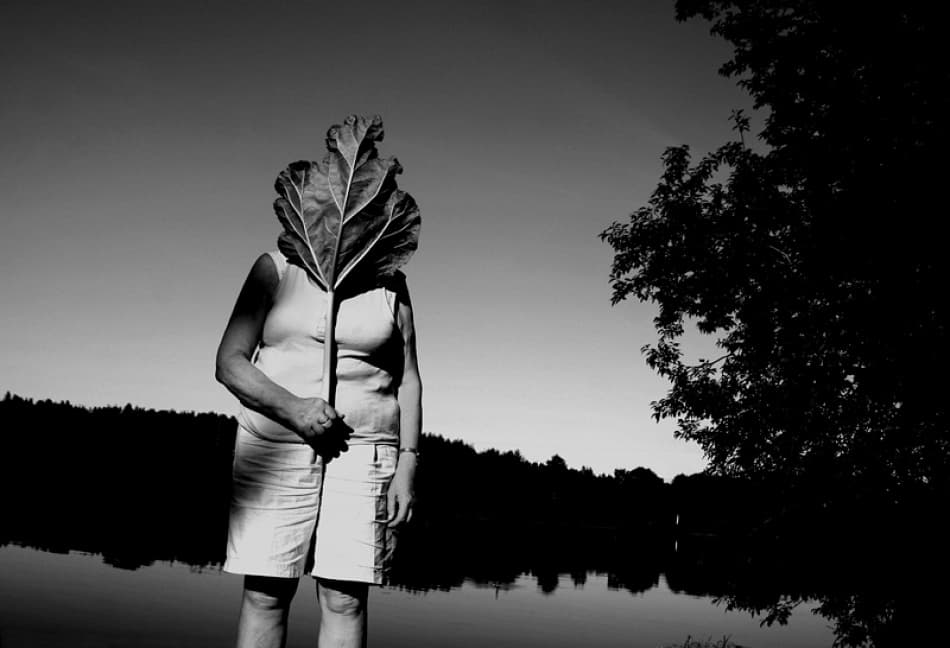 Monochrome Leaf Portrait by Bror Johansson — canvas wall art