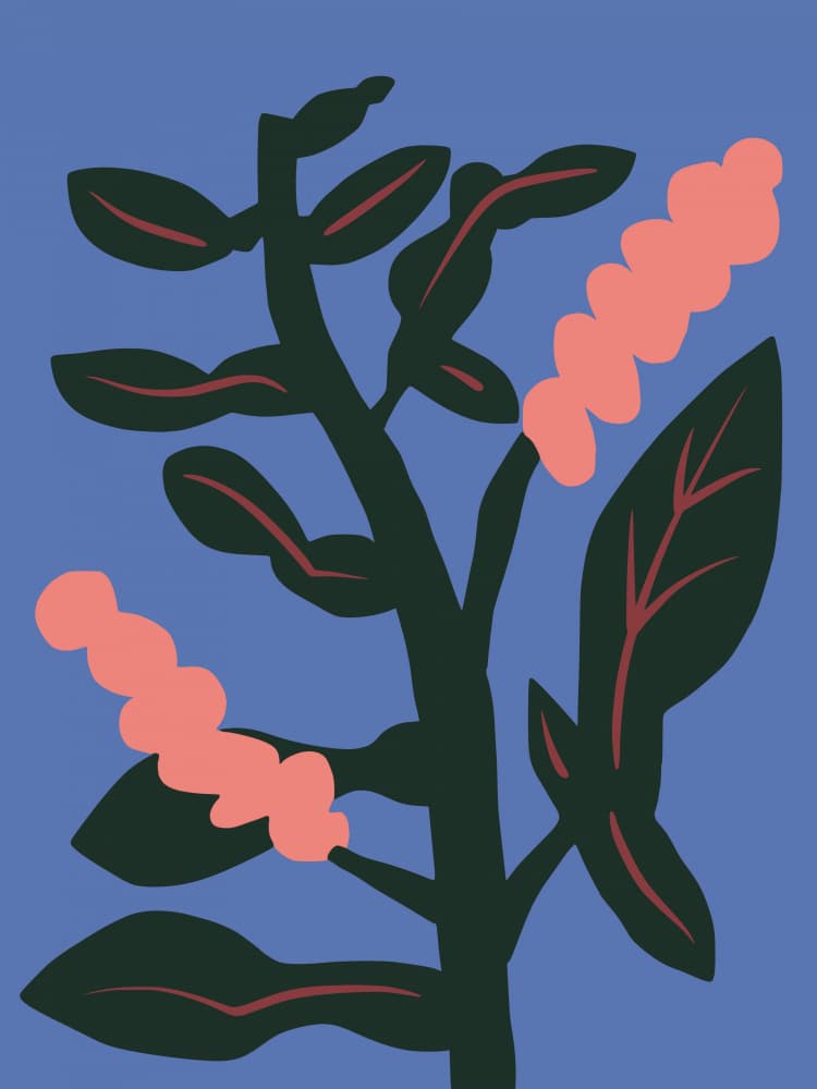 Coral Blooms on Blue by Little Dean — canvas wall art
