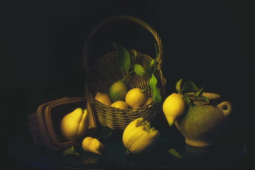 Moody Lemon Still Life by Lydia Jacobs — canvas wall art