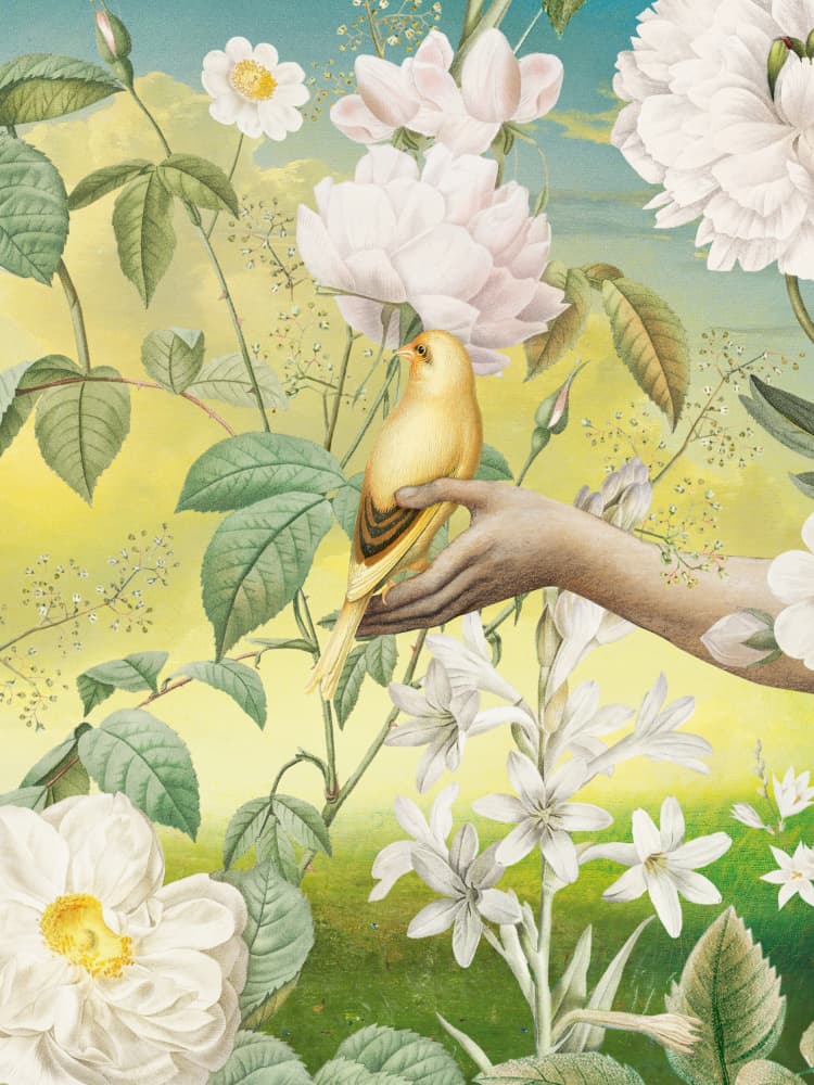 Golden Bird on Hand by Marja van den Hurk — canvas wall art