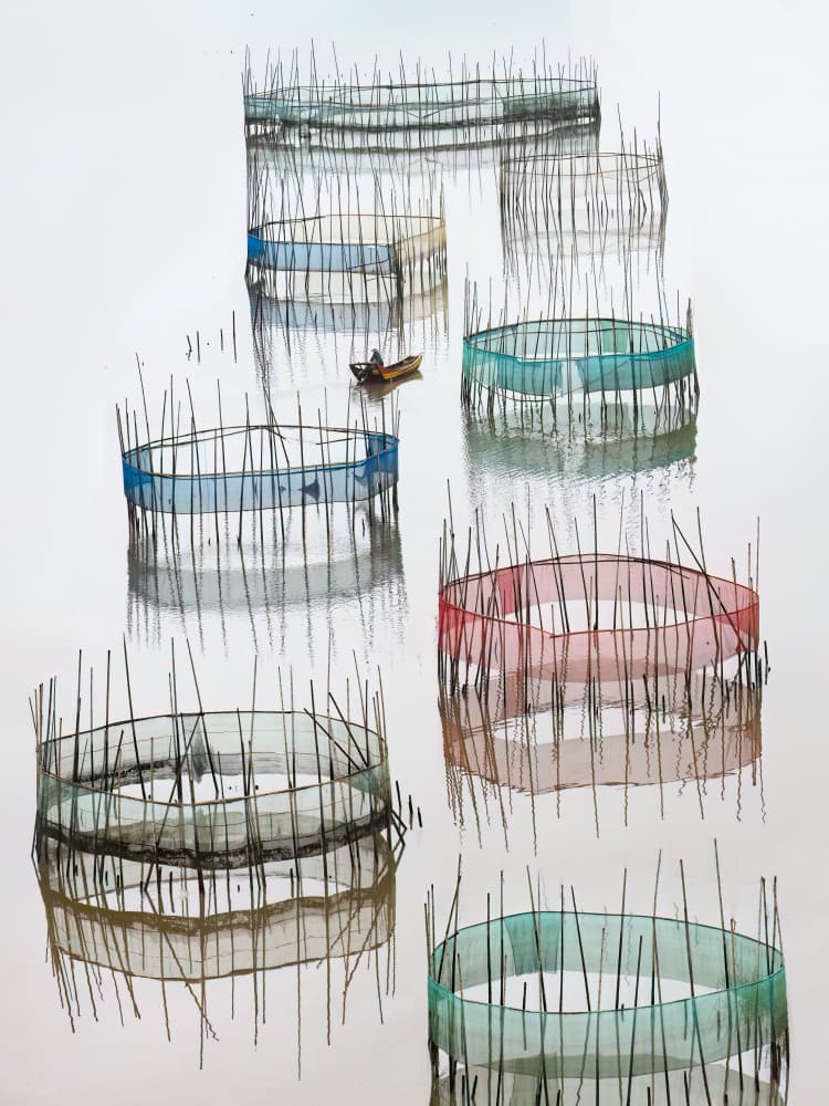 Tranquil Fishing Circles by Songlin Xu — canvas wall art