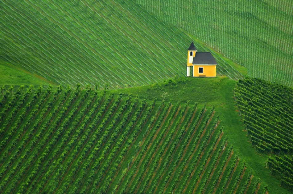 Yellow Chapel Vineyard by Jure Kravanja — canvas wall art