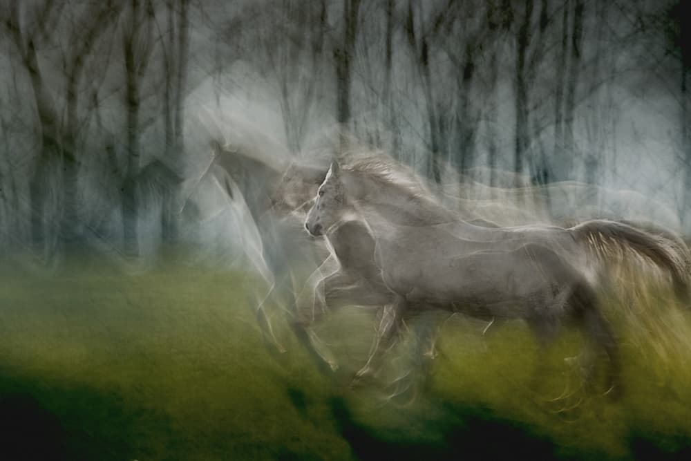 Ethereal Running Horses by Milan Malovrh — canvas wall art