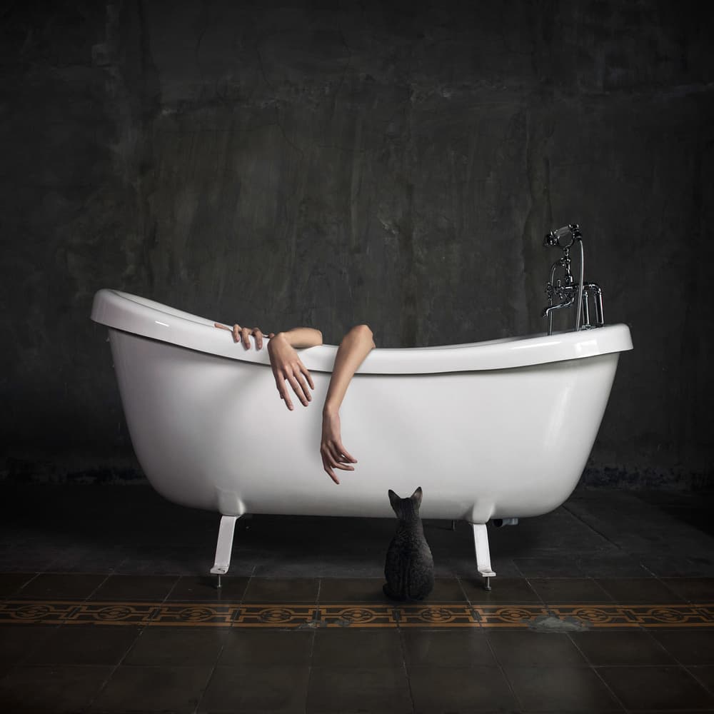 Mysterious Bathtub Cat by hardibudi — canvas wall art