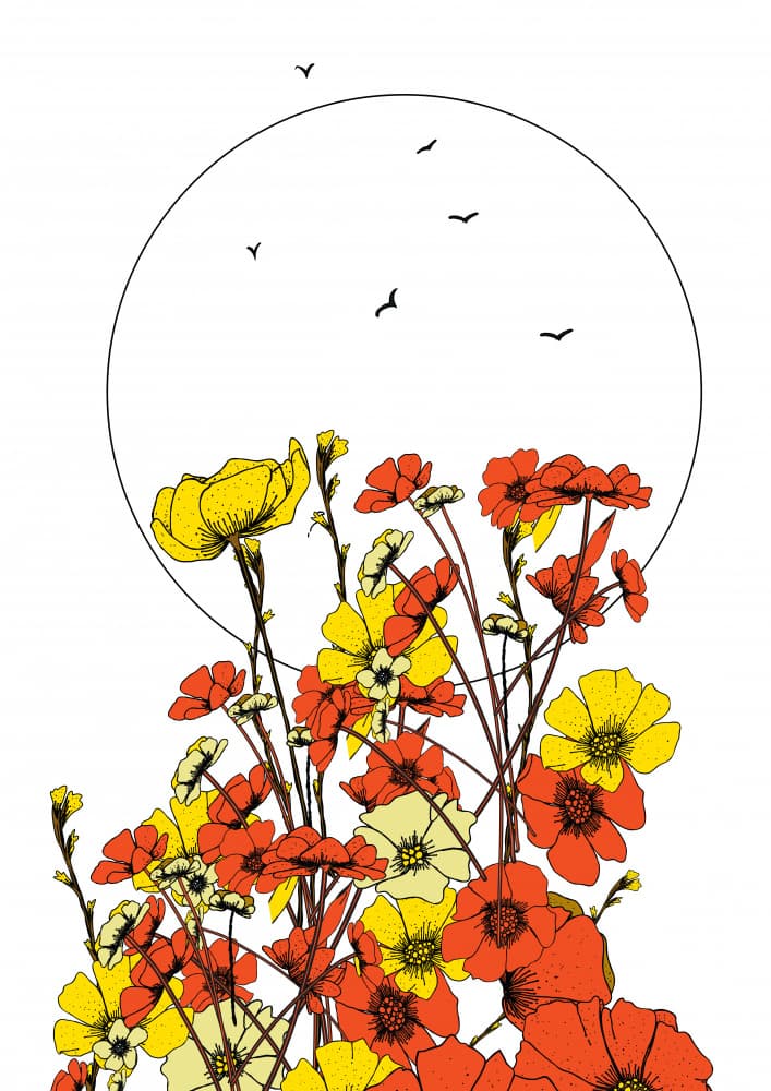 Wild Flowers And Birds by Nicholas — canvas wall art