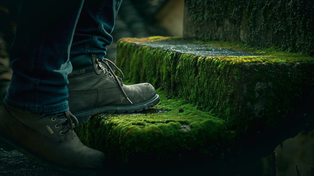 Footsteps on Moss by Bingo Z — canvas wall art