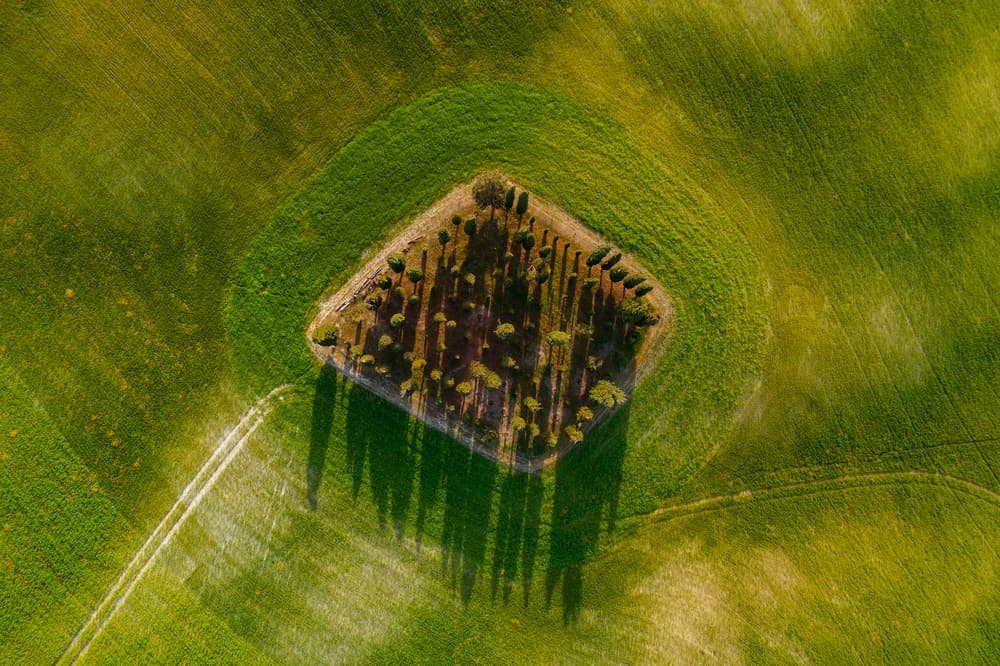 Green Field Geometry by Jure Kravanja — canvas wall art