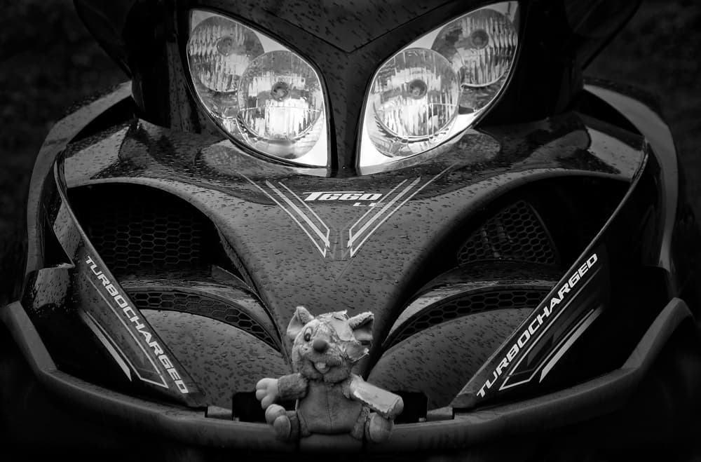 Gritty Snowmobile Mouse by Hans-Wolfgang Hawerkamp — canvas wall art