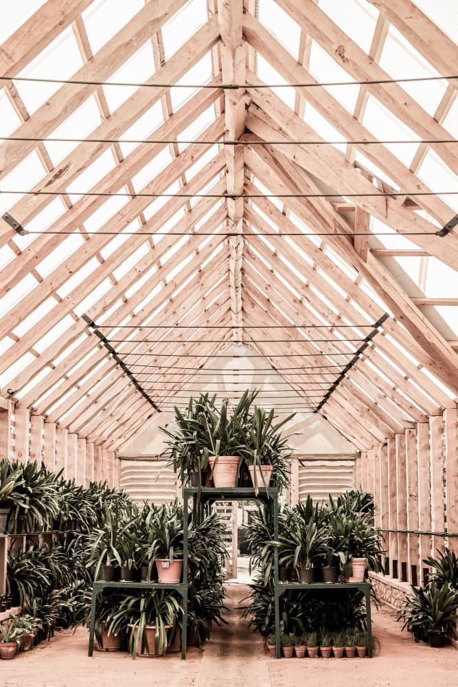 Serene Greenhouse by Shot by Clint — canvas wall art