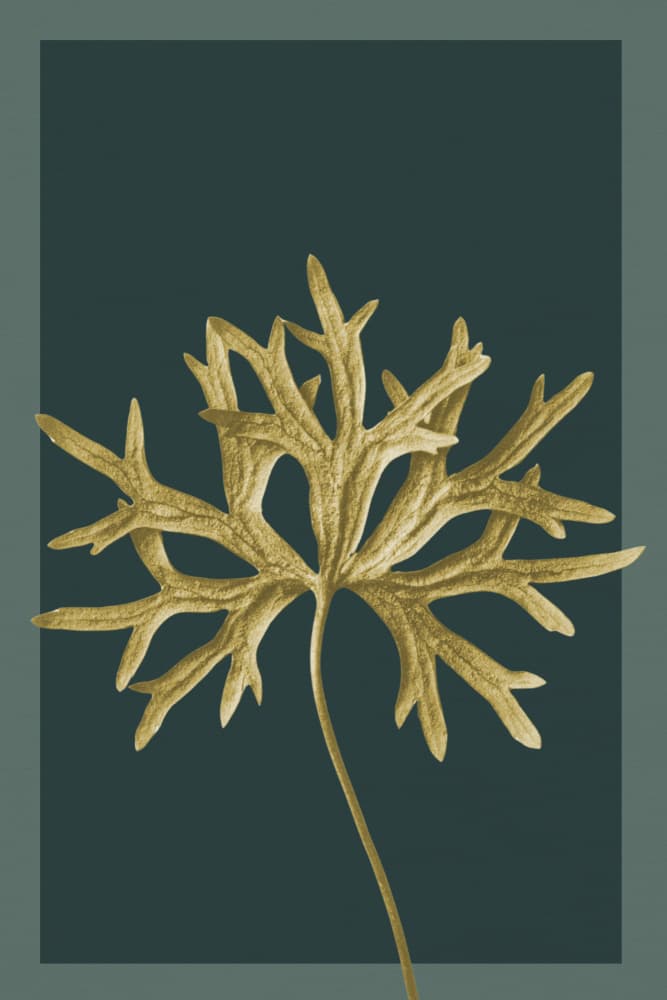 Golden Botanical Leaf by Wild Violets — canvas wall art