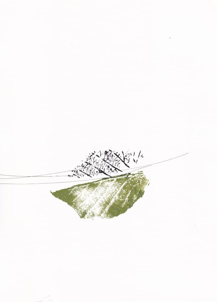 Green Leaf Bare Branches by Maira Ribena — canvas wall art