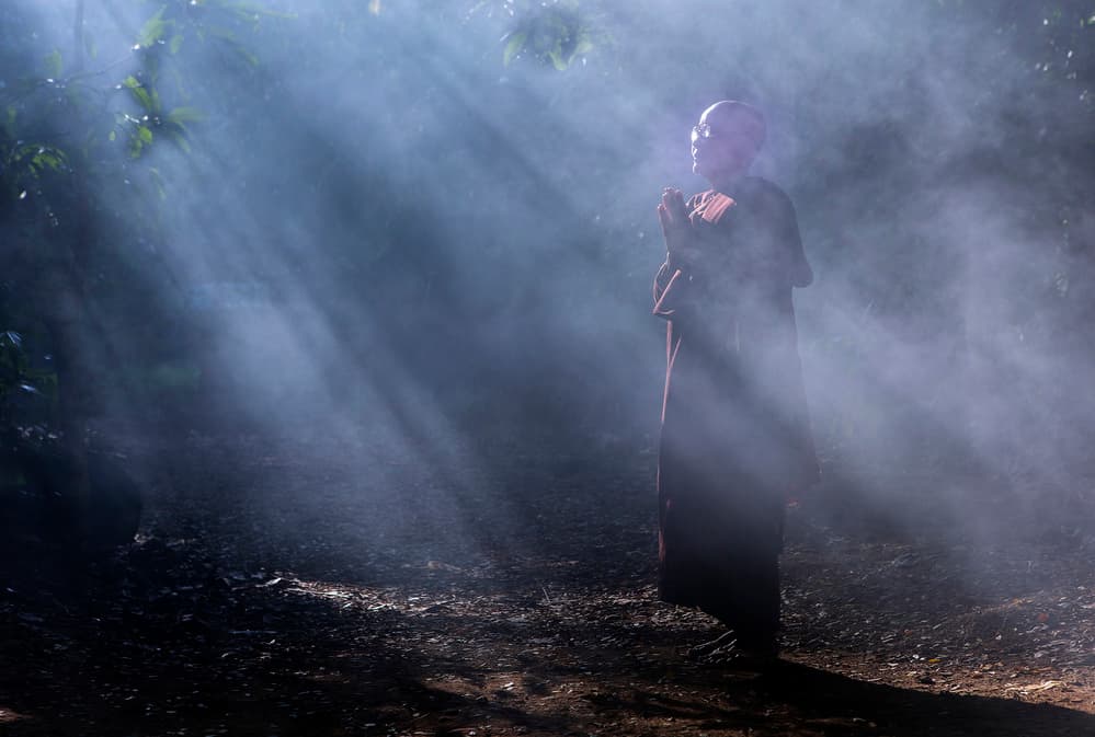 Praying Monk Forest Light by Clas Gustafson PRO — canvas wall art