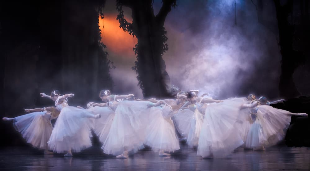 Ethereal Ballet Dancers by Peet van den Berg — canvas wall art