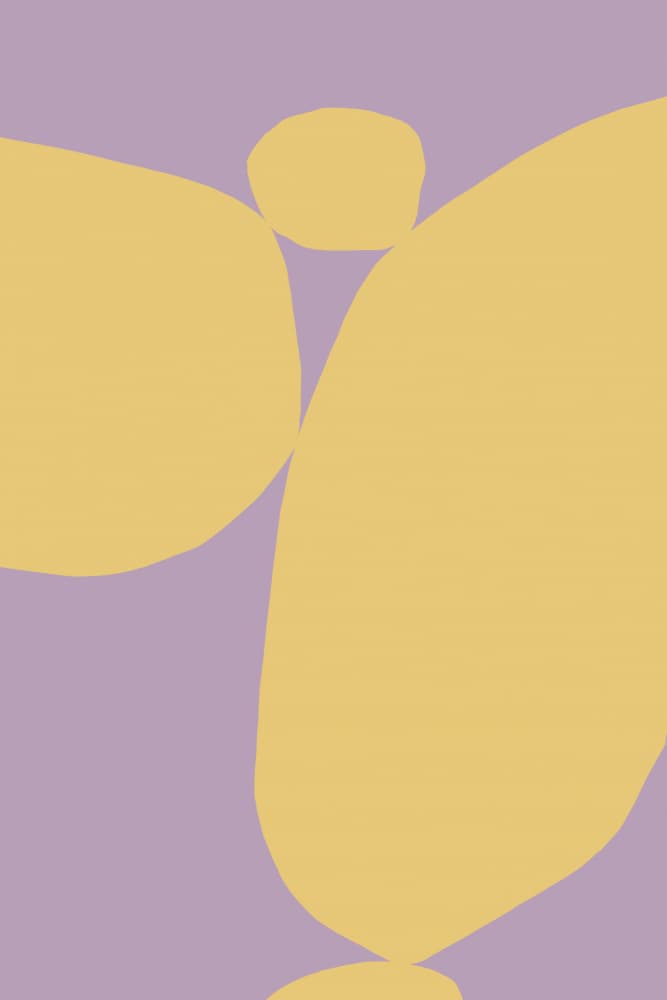 Balanced Organic Shapes by Treechild — canvas wall art