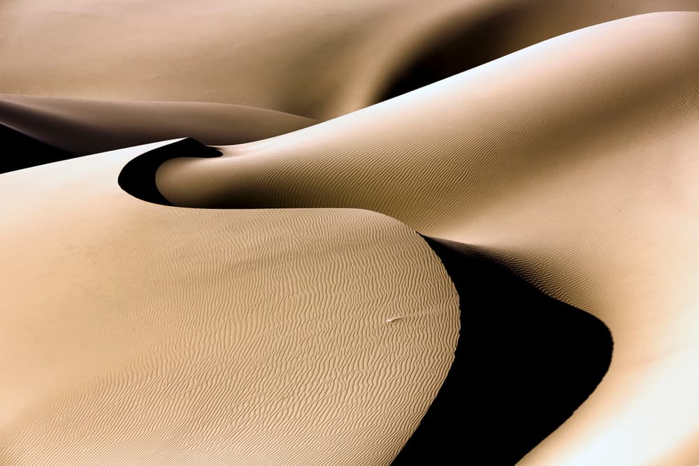 Shadowed Desert Curves by Mohammadreza Momeni — canvas wall art