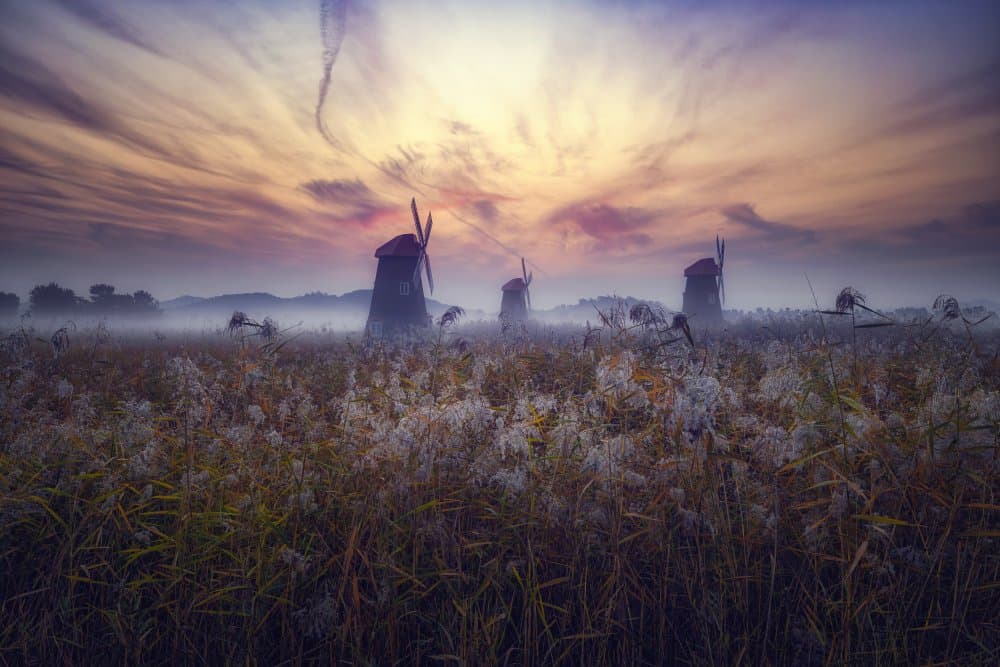 Misty Windmills at Sunset by Tiger Seo — canvas wall art