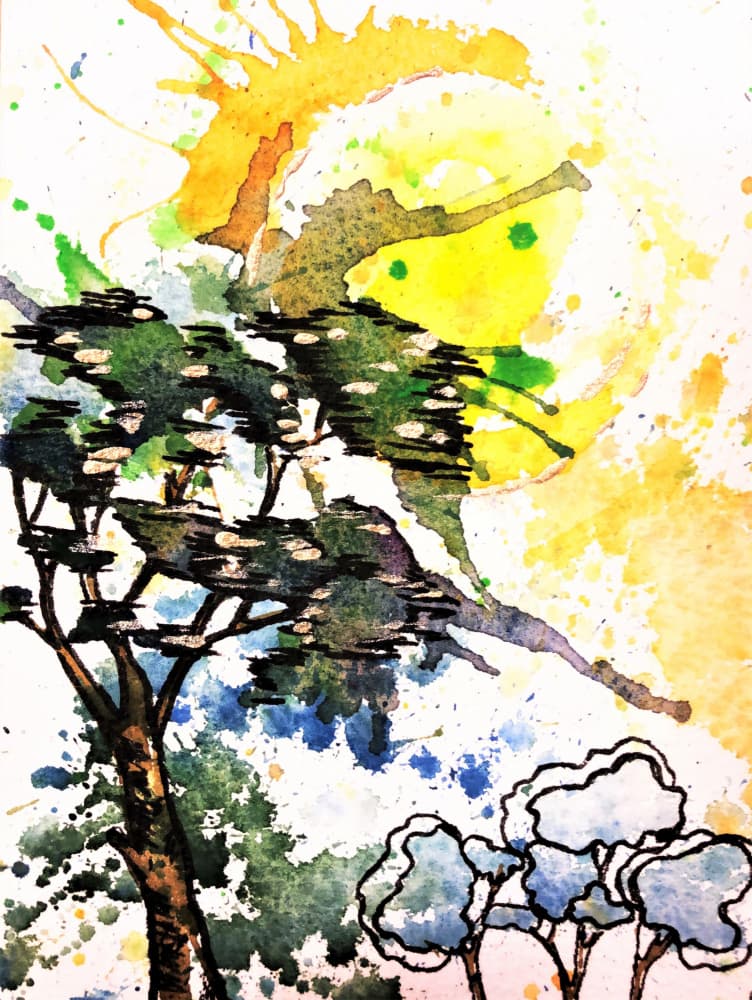 Abstract Sunlit Trees by Anda Bieza — canvas wall art
