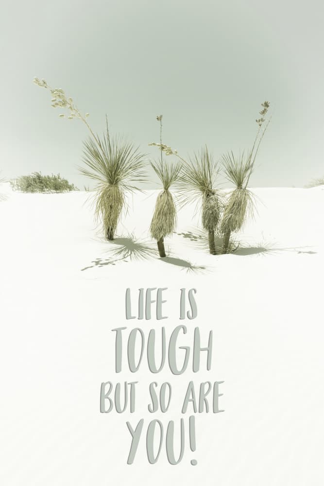 Resilient Desert Life Quote by Melanie Viola — canvas wall art